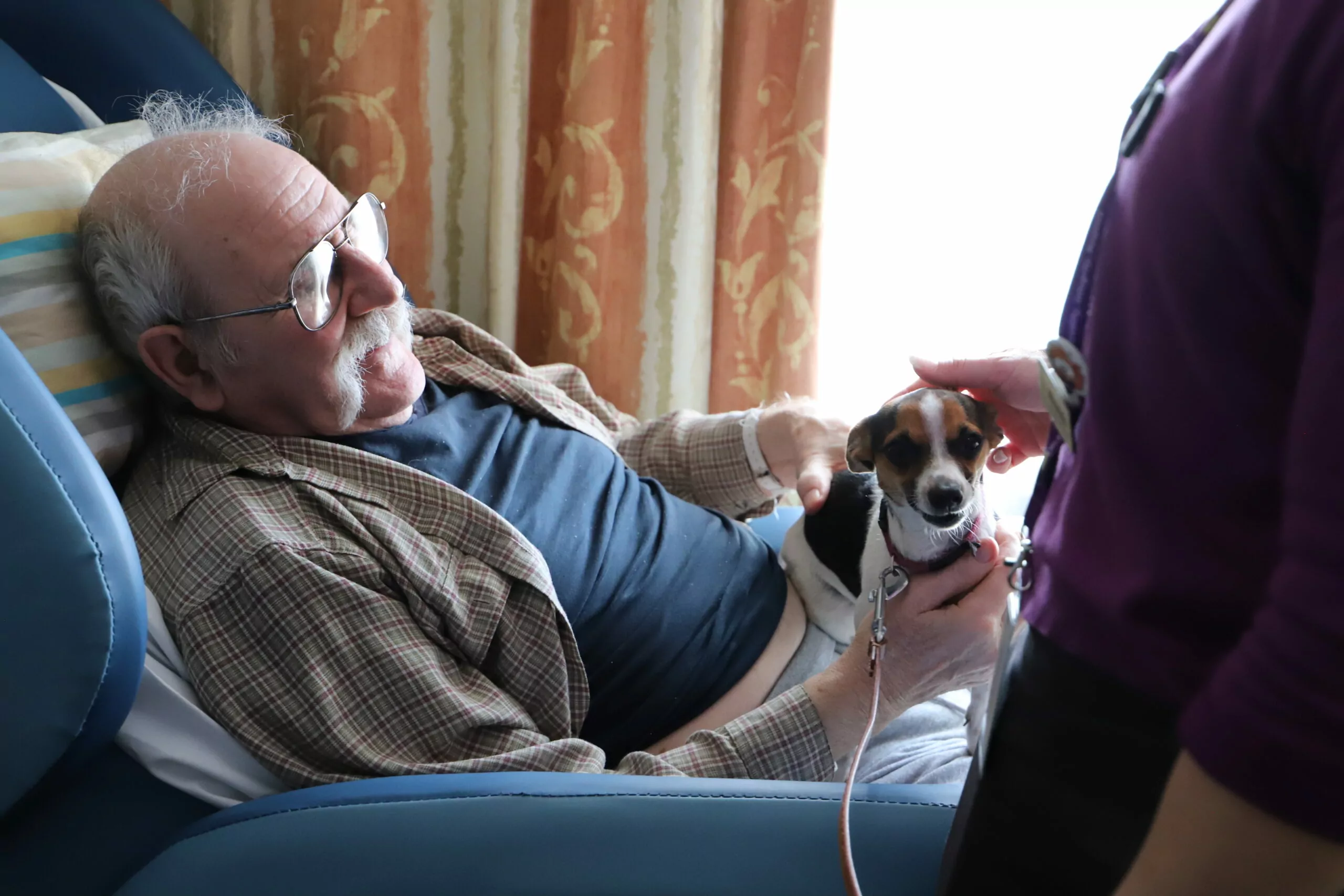 Man lies on bed with fox terrier dog
